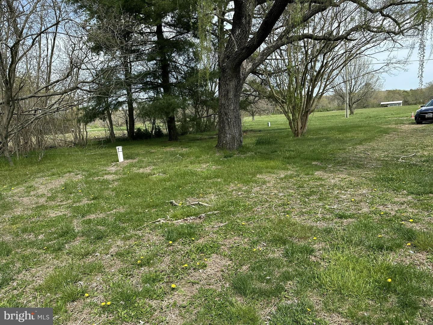 10037 Main St Property Photo 16