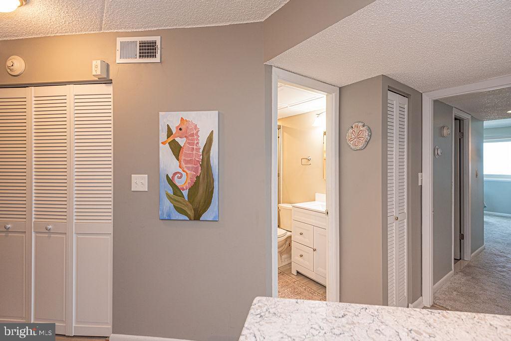10300 Coastal Hwy #506 Property Photo 39