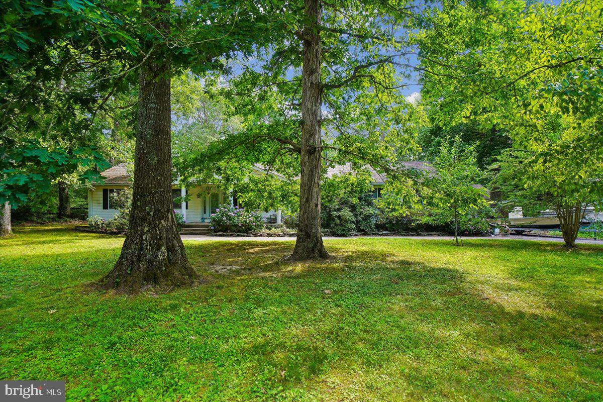 10541 Shady Dr Property Photo 2