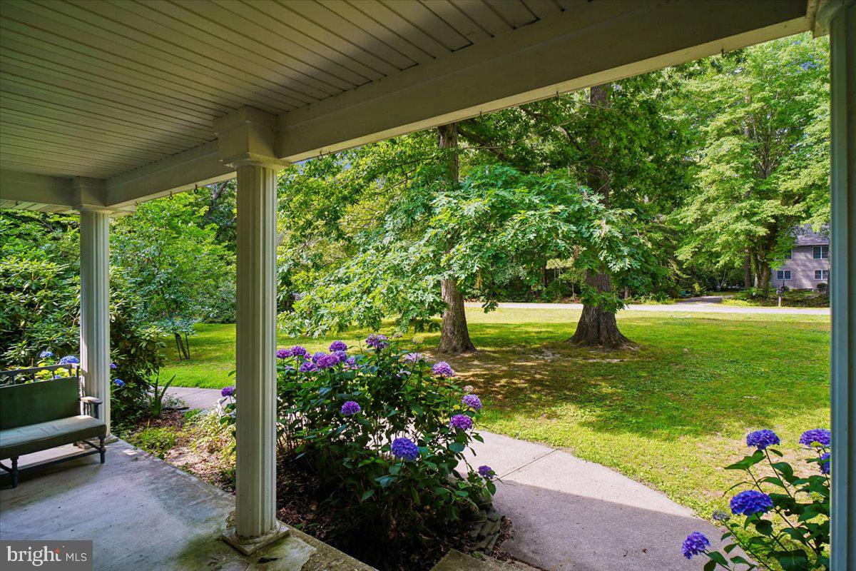 10541 Shady Dr Property Photo 4