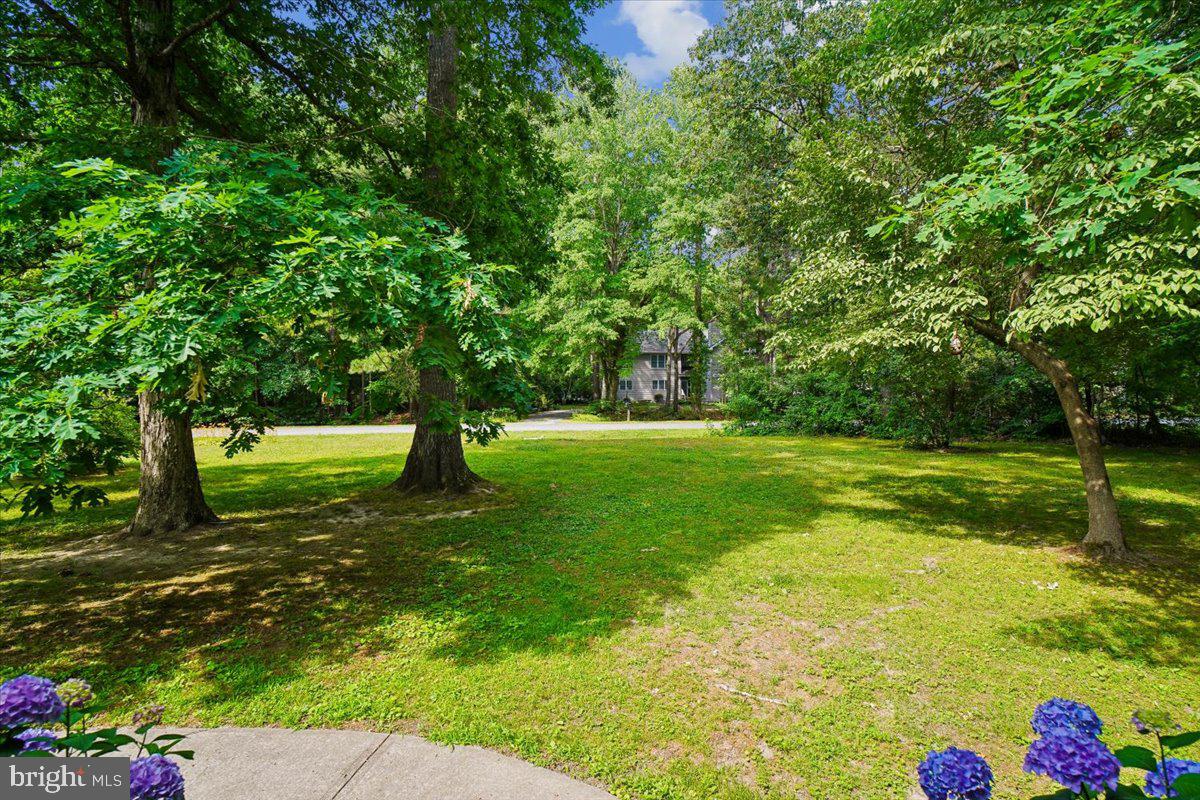 10541 Shady Dr Property Photo 5
