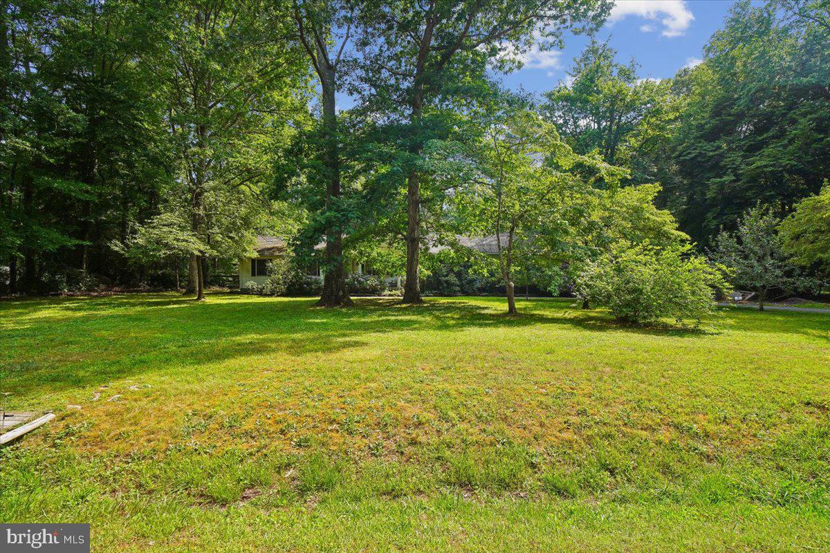 10541 Shady Dr Property Photo 6