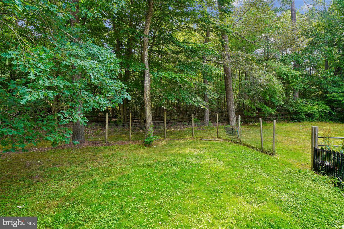 10541 Shady Dr Property Photo 48