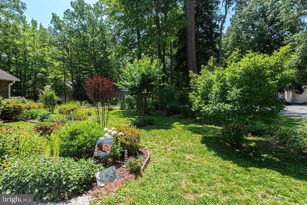 151 Sandyhook Rd Property Photo 11