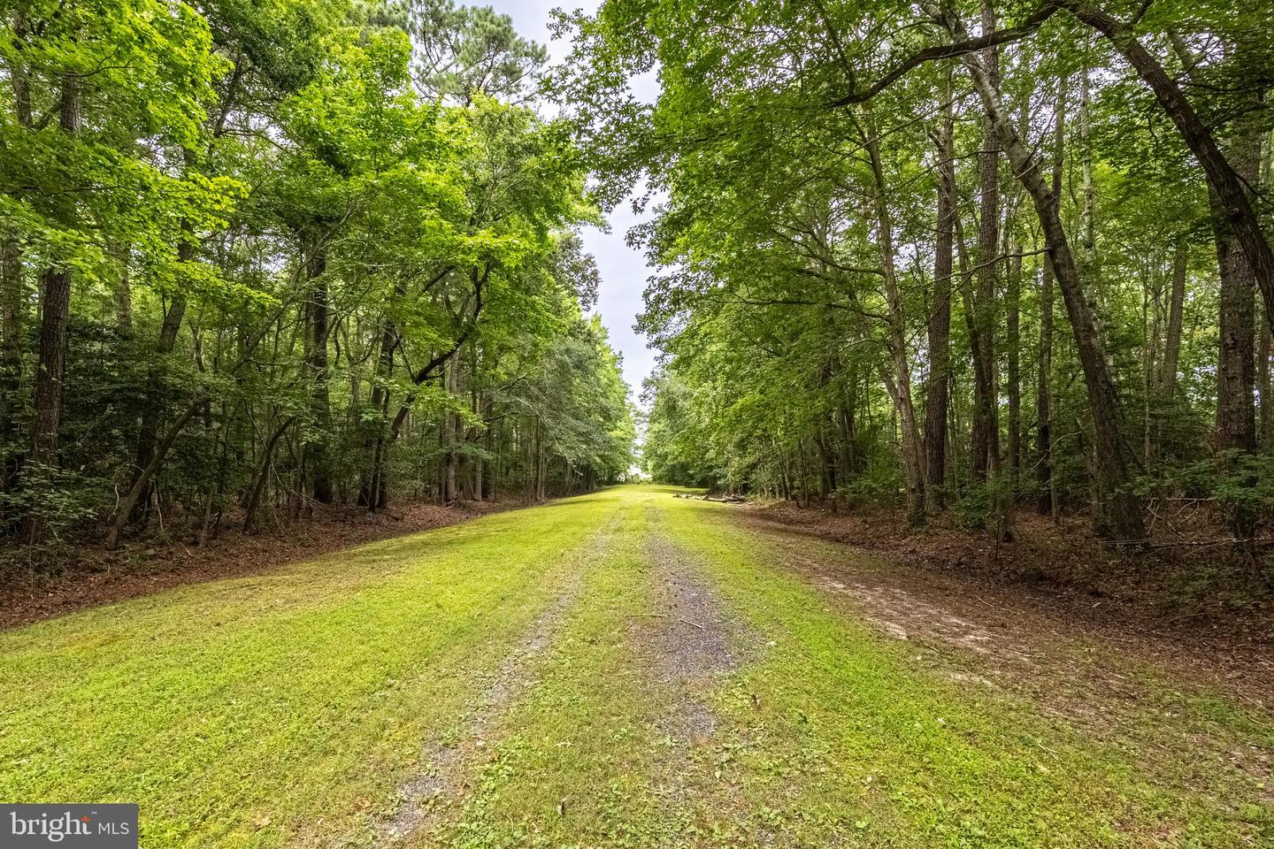 12089 Saint Martins Neck Rd Property Photo 62