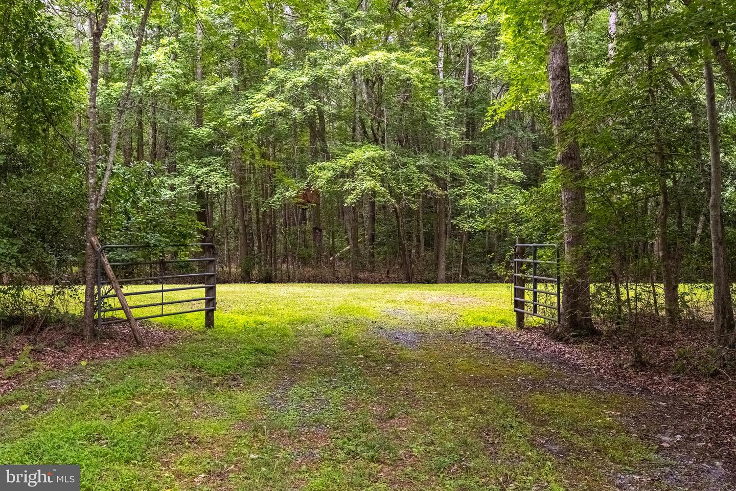 12089 Saint Martins Neck Rd Property Photo 65