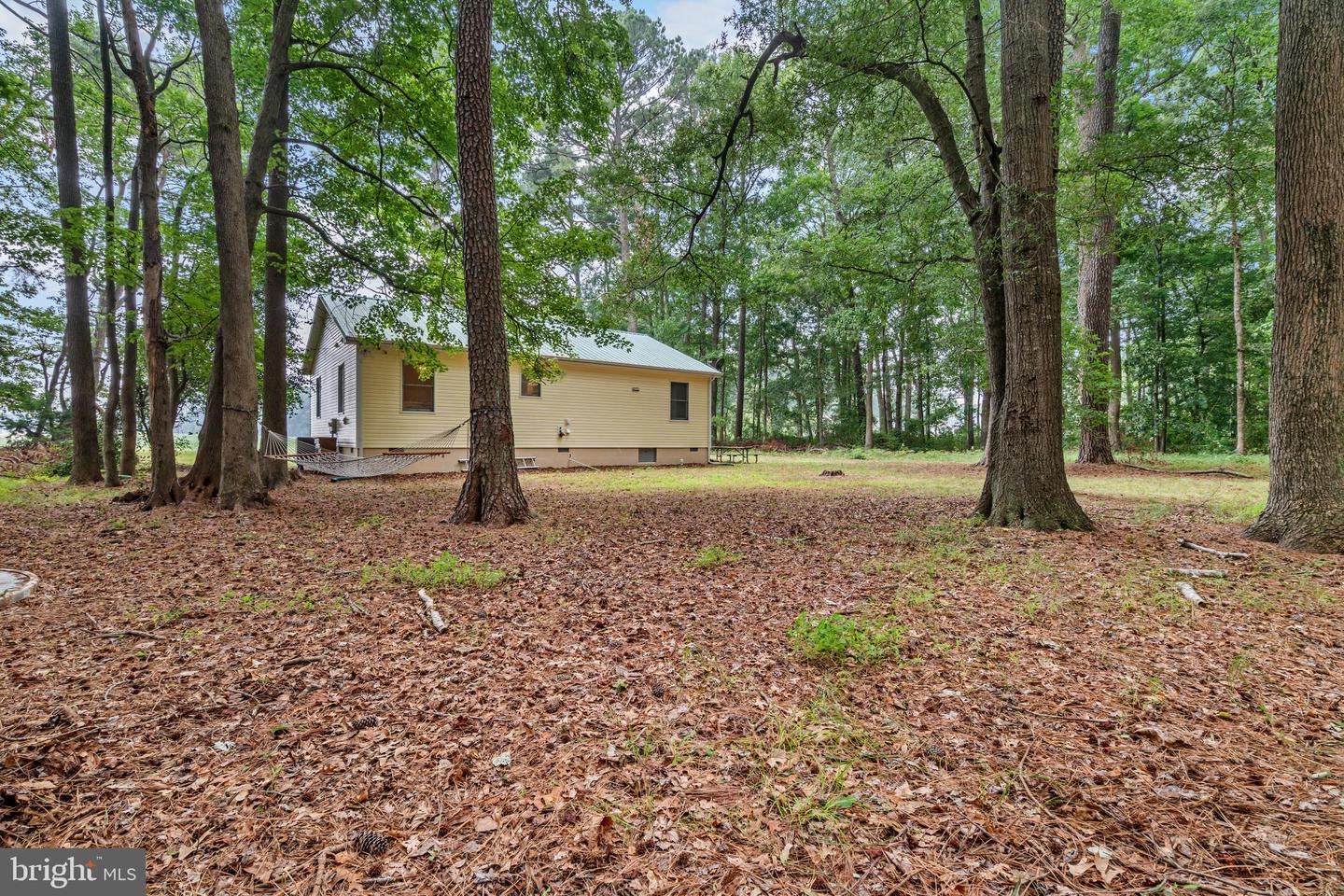 10411 Griffin Rd Property Photo 37