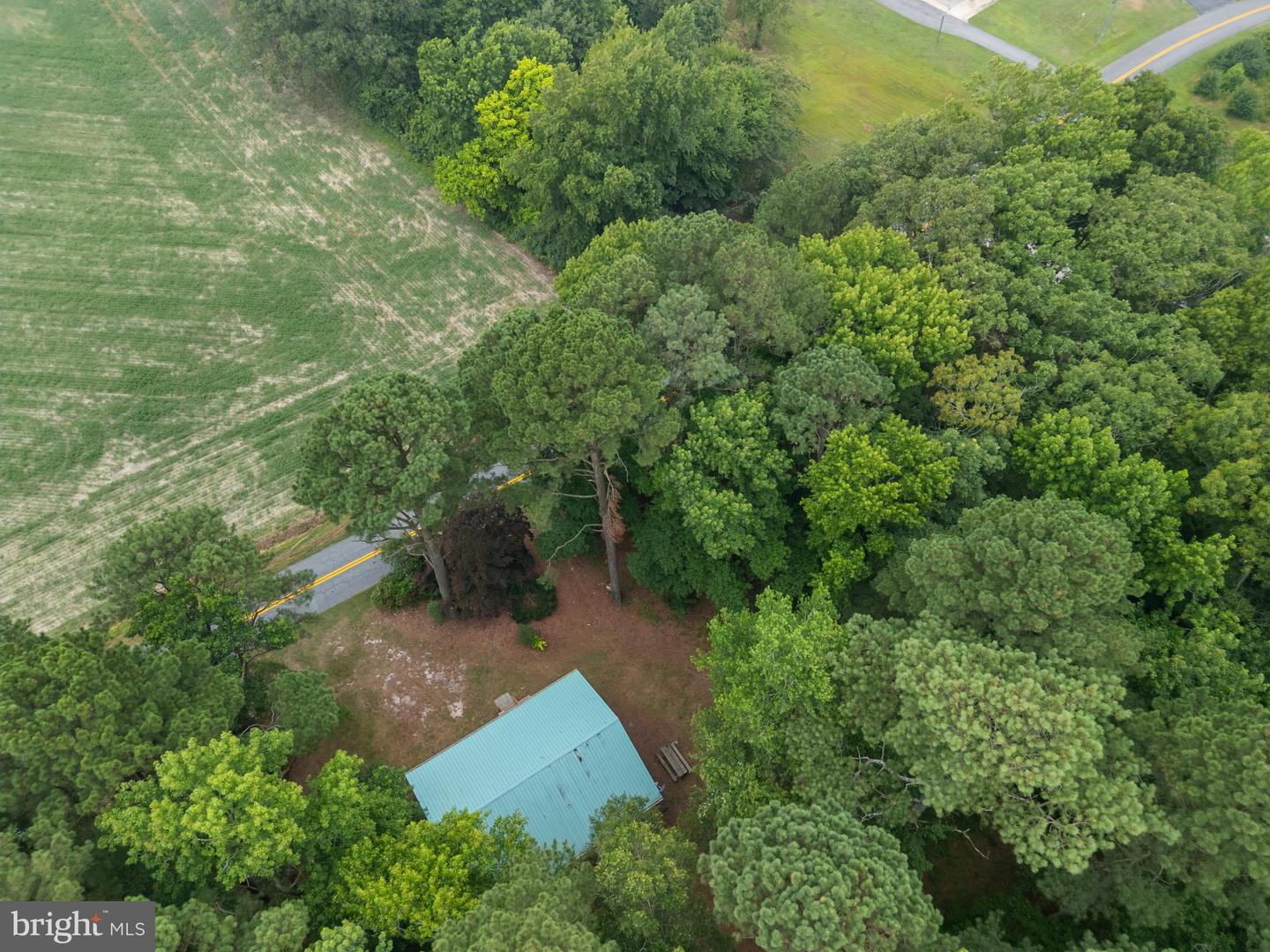 10411 Griffin Rd Property Photo 39