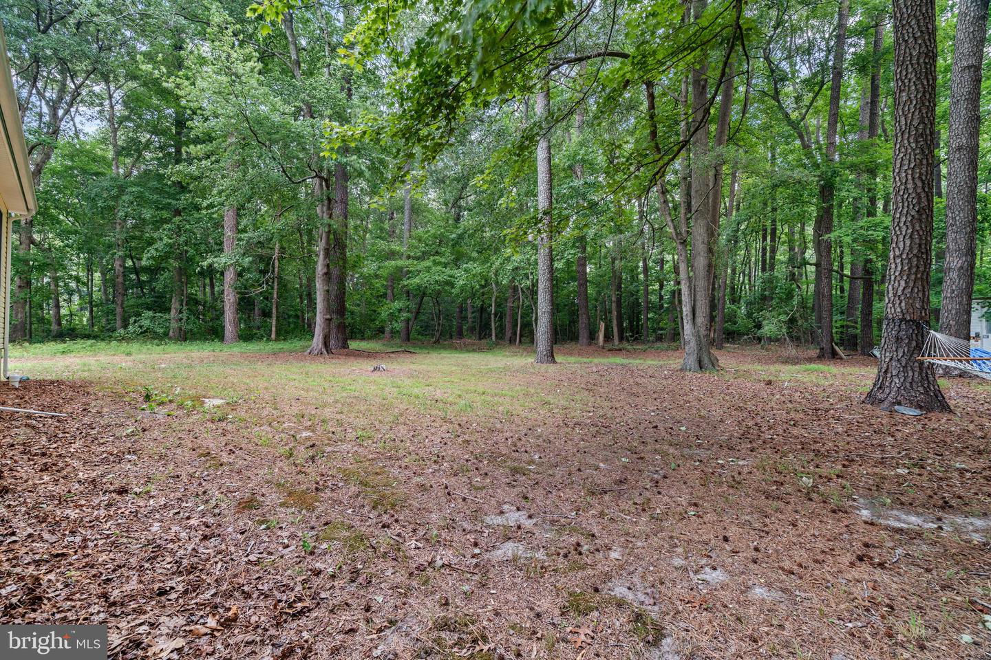 10411 Griffin Rd Property Photo 40