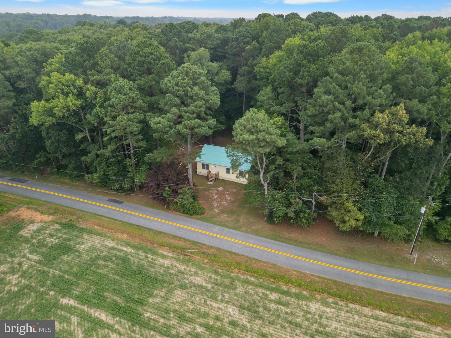 10411 Griffin Rd Property Photo 41