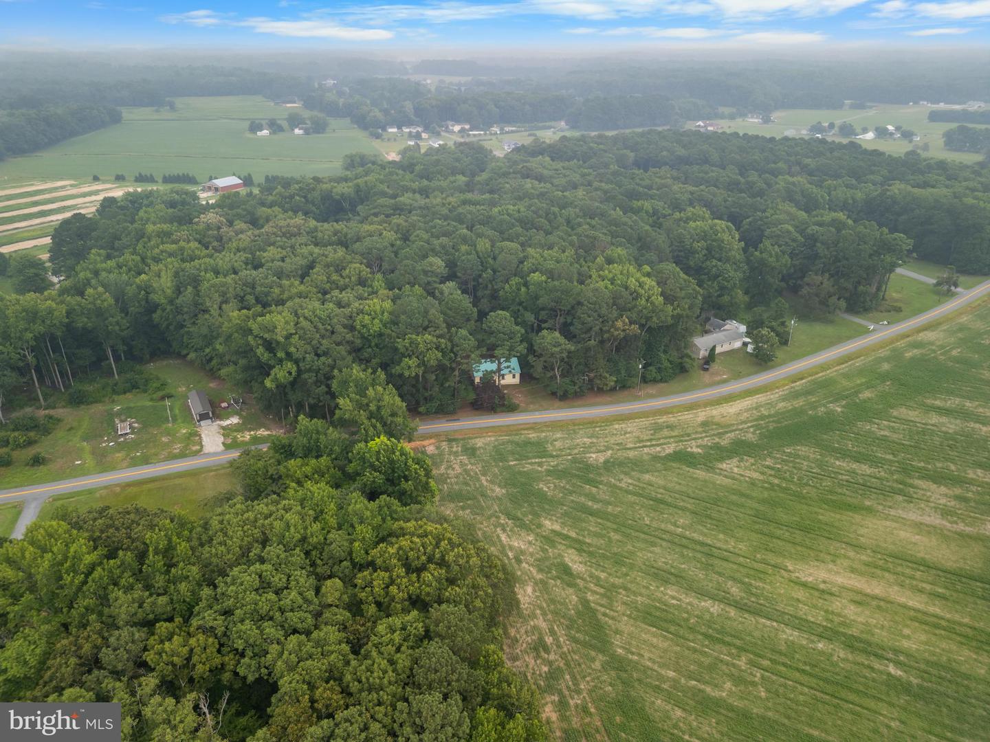 10411 Griffin Rd Property Photo 42