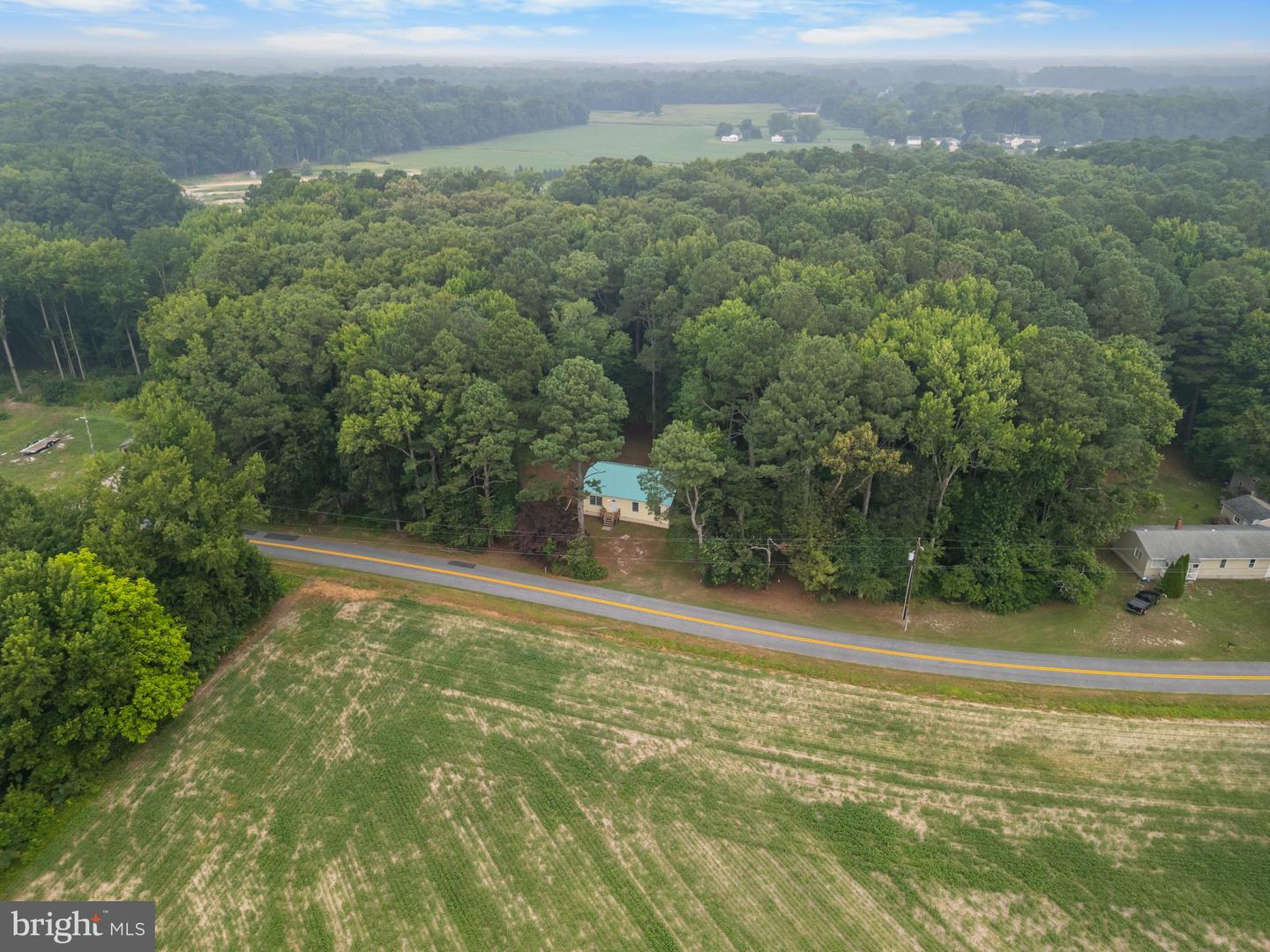10411 Griffin Rd Property Photo 43