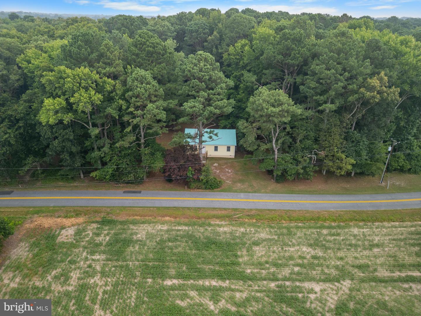 10411 Griffin Rd Property Photo 44