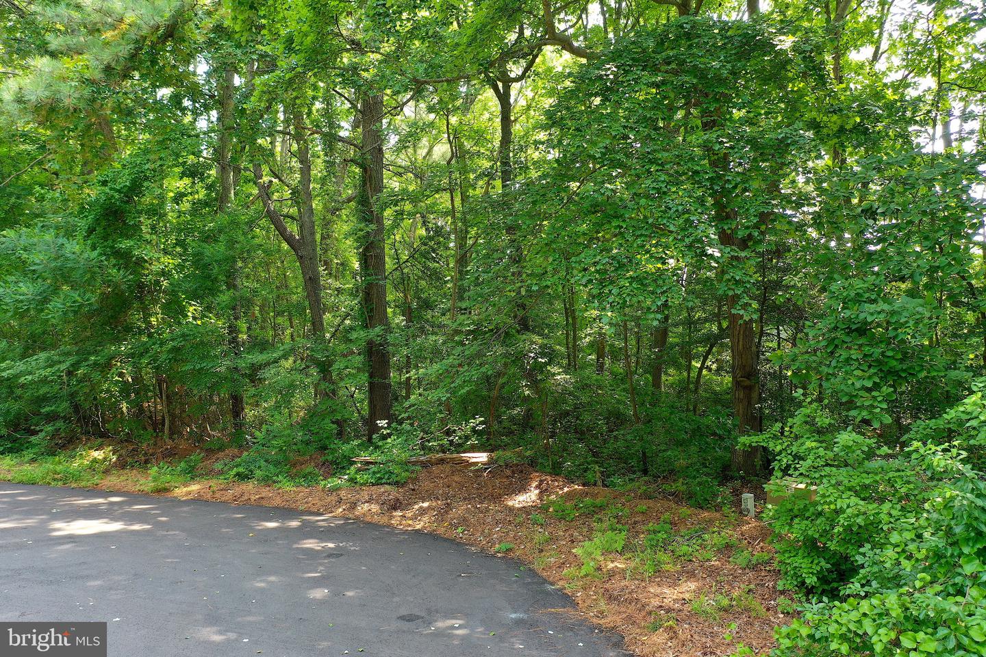 Lot 49 Quillin Way Property Photo 9
