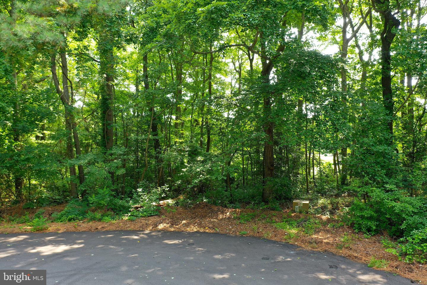 Lot 49 Quillin Way Property Photo 10