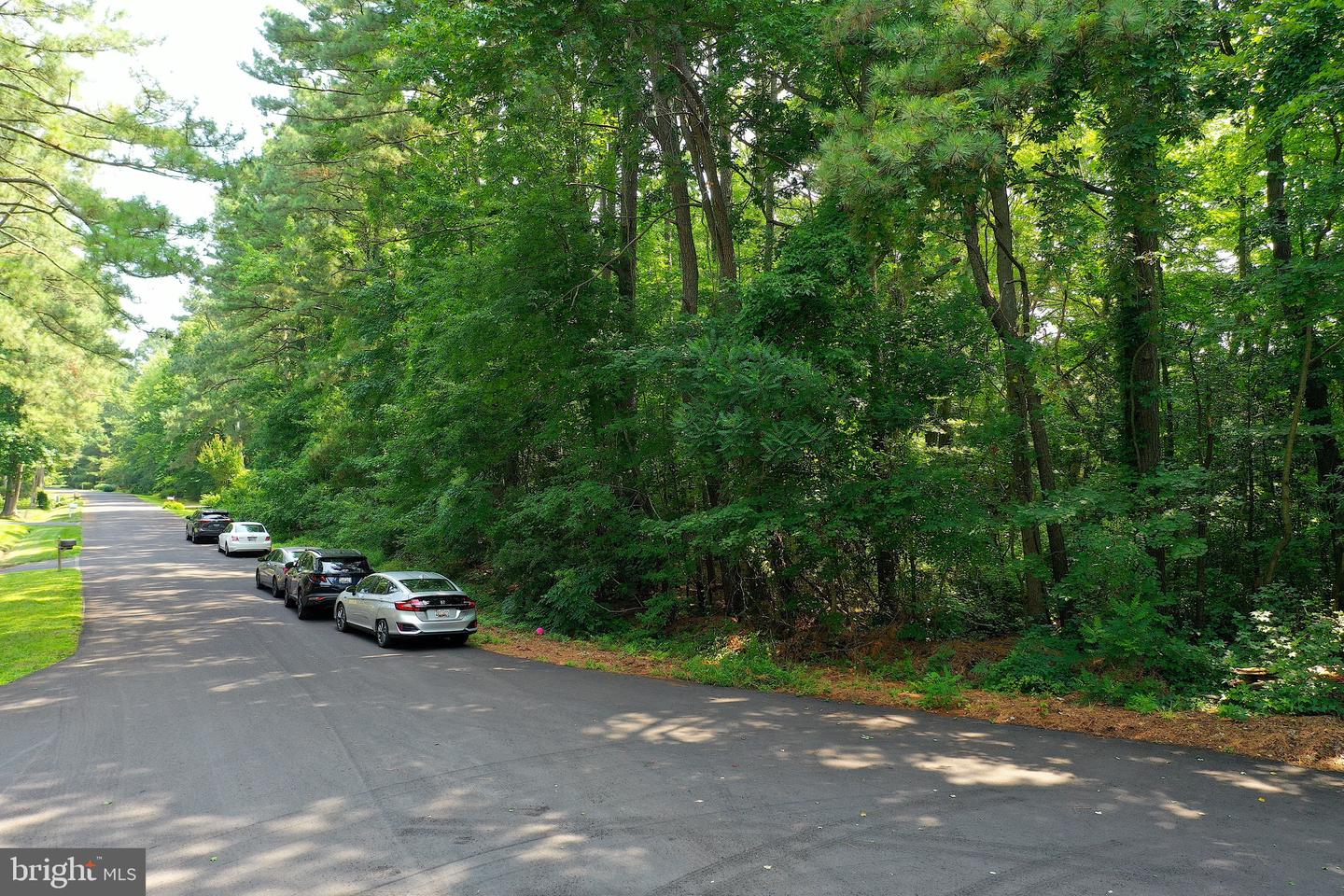 Lot 49 Quillin Way Property Photo 11
