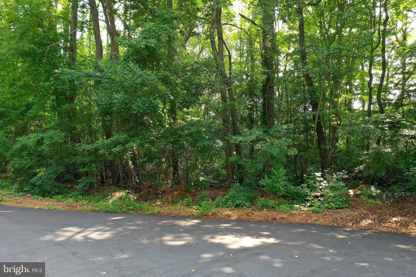 Lot 49 Quillin Way Property Photo 12