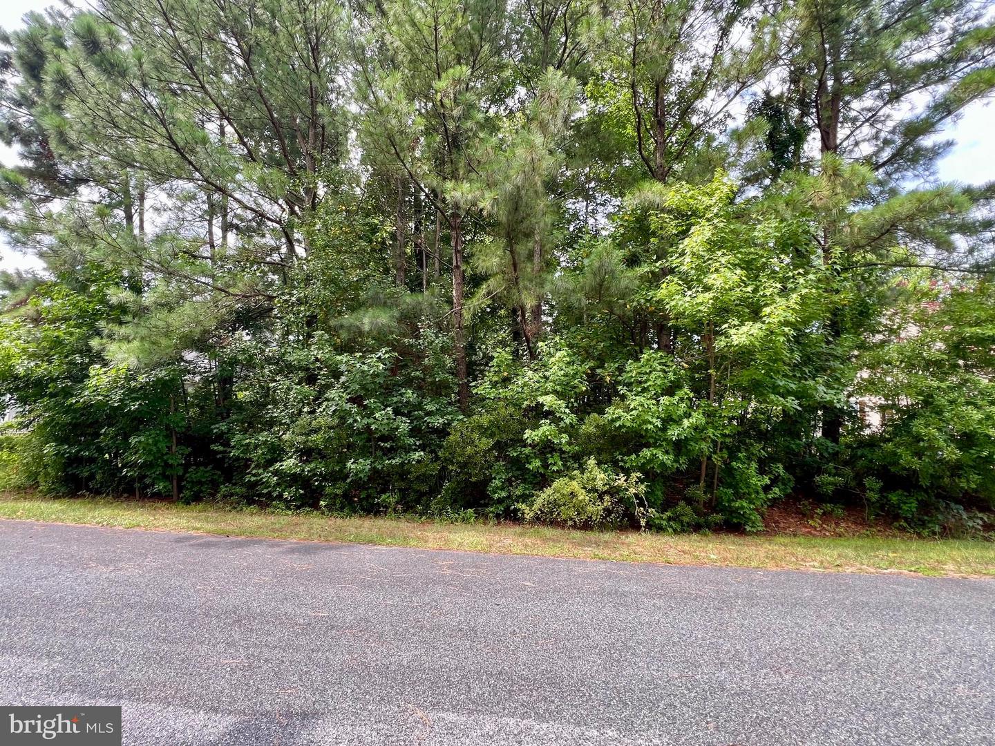 1103 Stones Run Property Photo 25