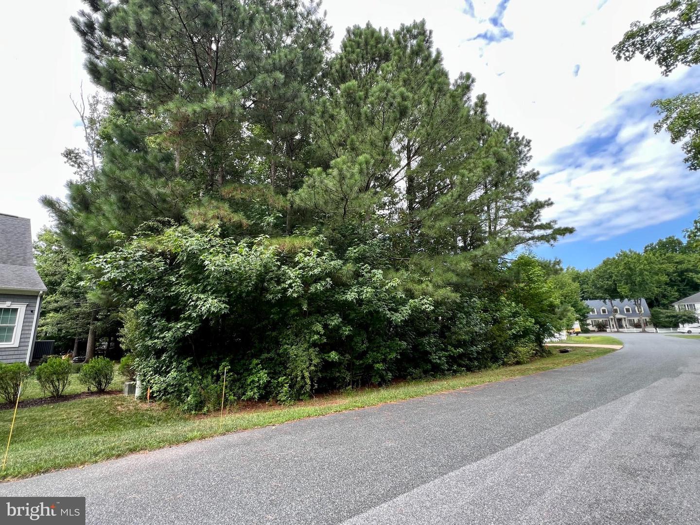 1103 Stones Run Property Photo 26