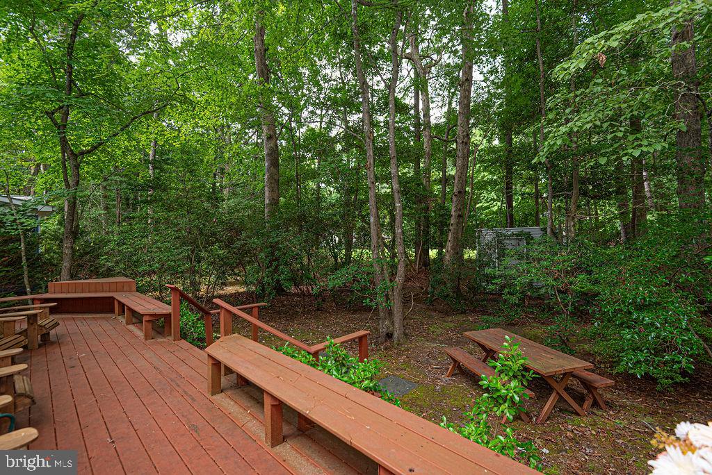 6 Briarcrest Dr Property Photo 13