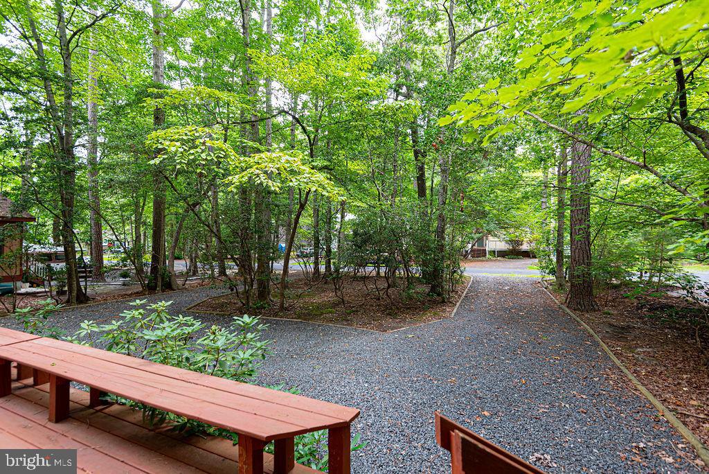 6 Briarcrest Dr Property Photo 54