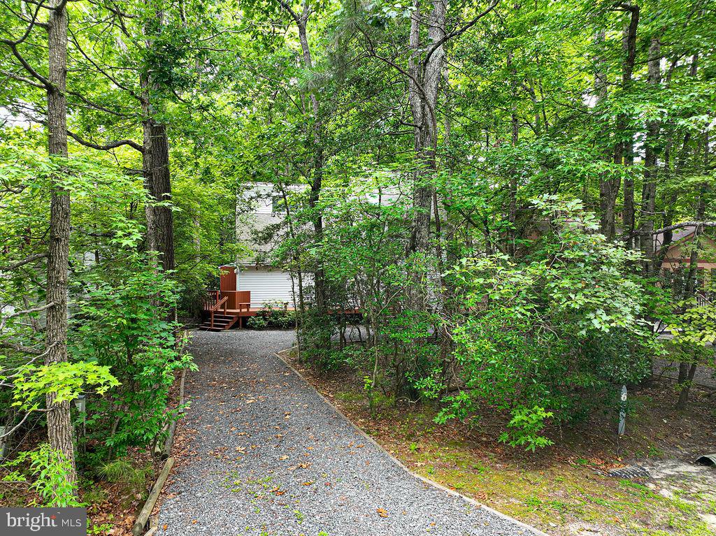 6 Briarcrest Dr Property Photo 58
