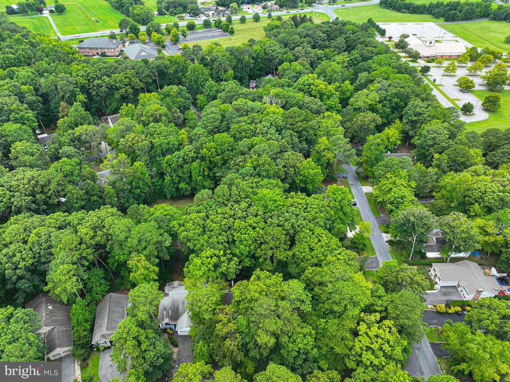6 Briarcrest Dr Property Photo 59