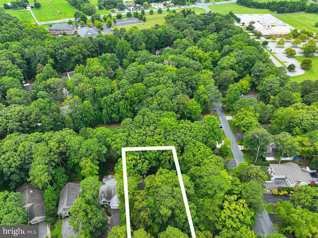 6 Briarcrest Dr Property Photo 60