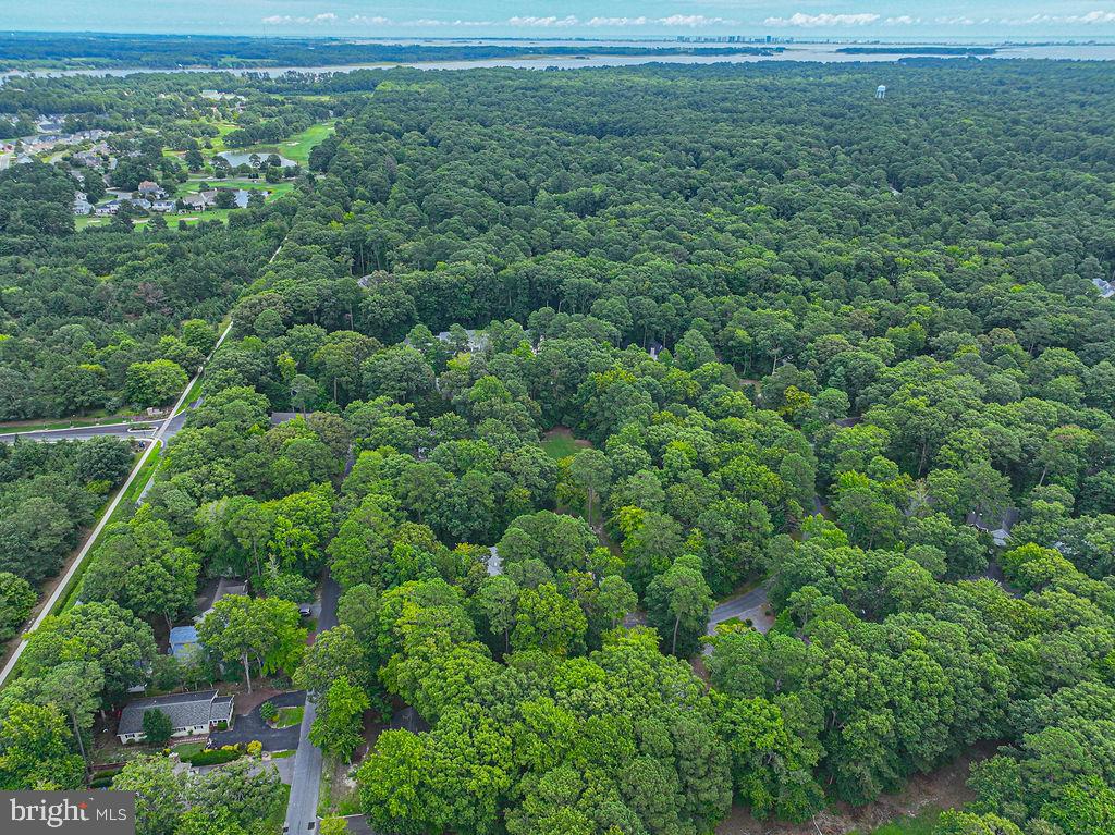6 Briarcrest Dr Property Photo 61