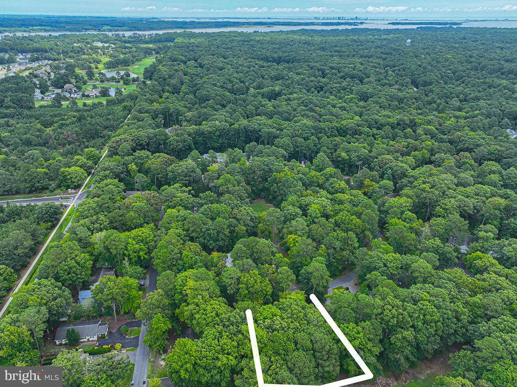 6 Briarcrest Dr Property Photo 62