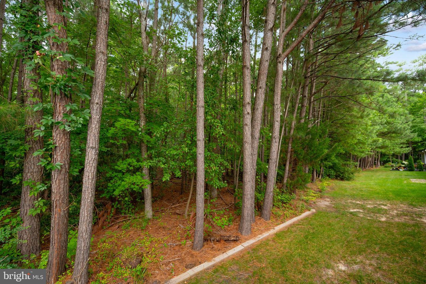 6 Federal Hl Property Photo 57