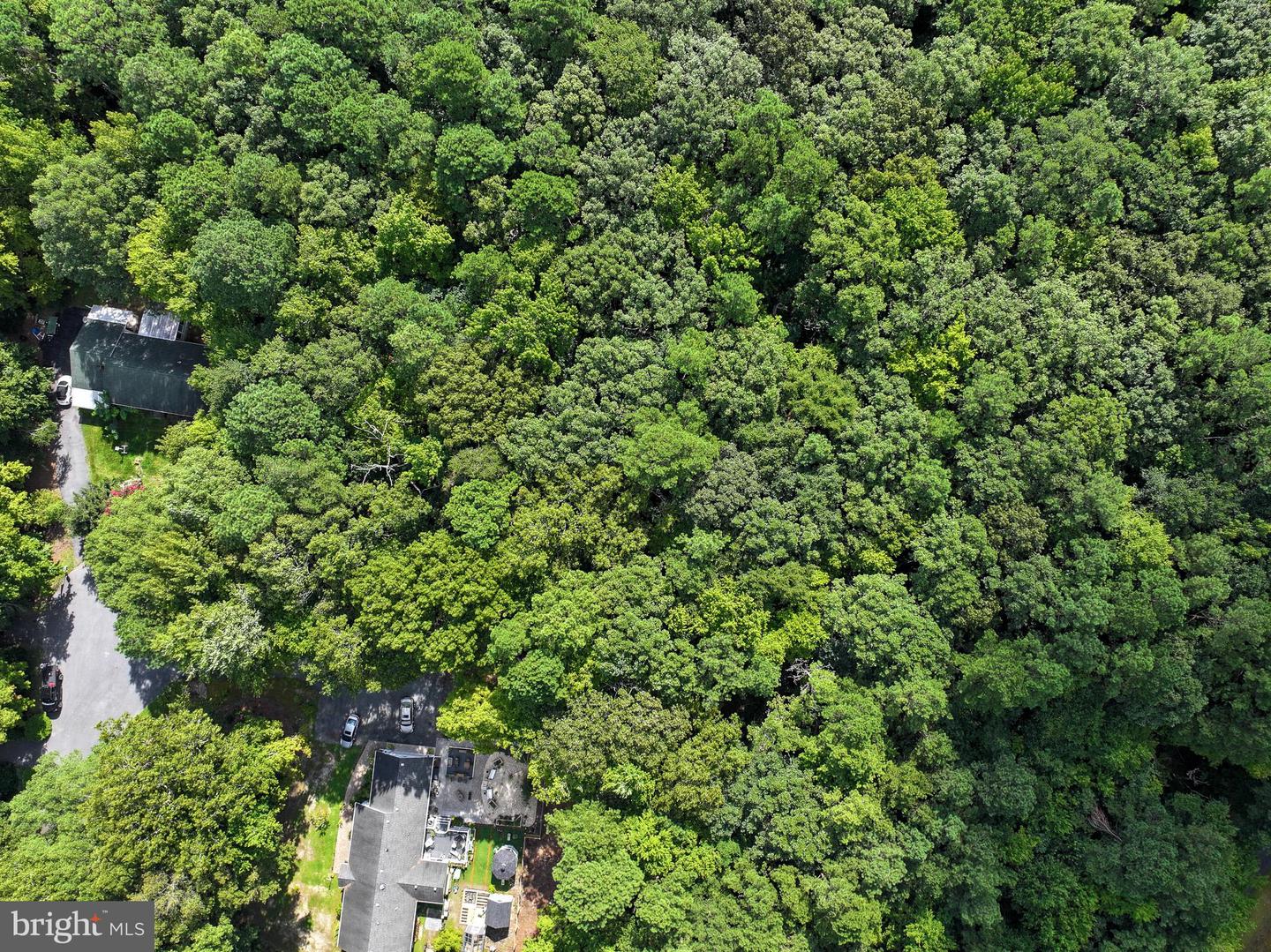 Martin Ct Property Photo 8