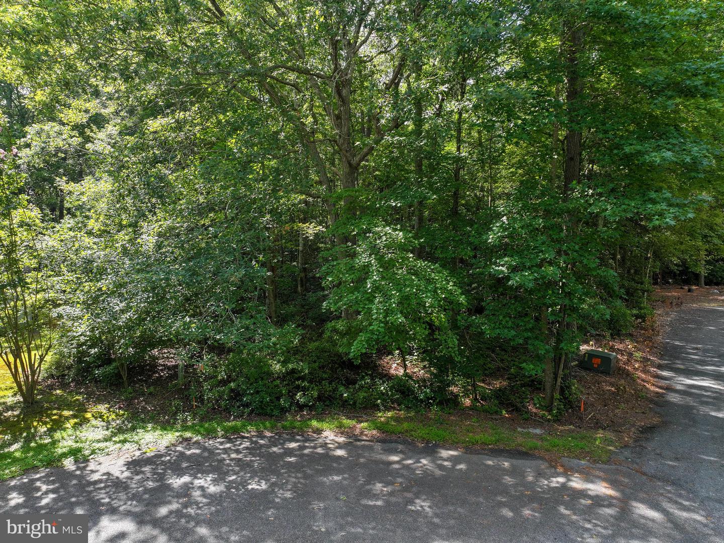 Martin Ct Property Photo 10