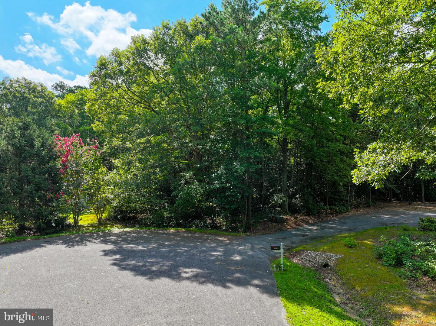 Martin Ct Property Photo 11