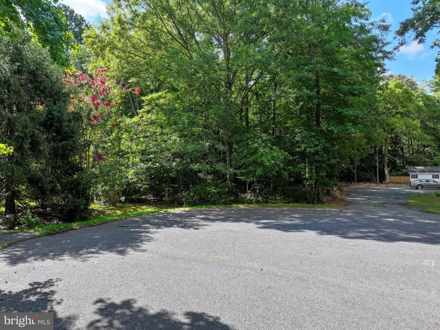 Martin Ct Property Photo 14