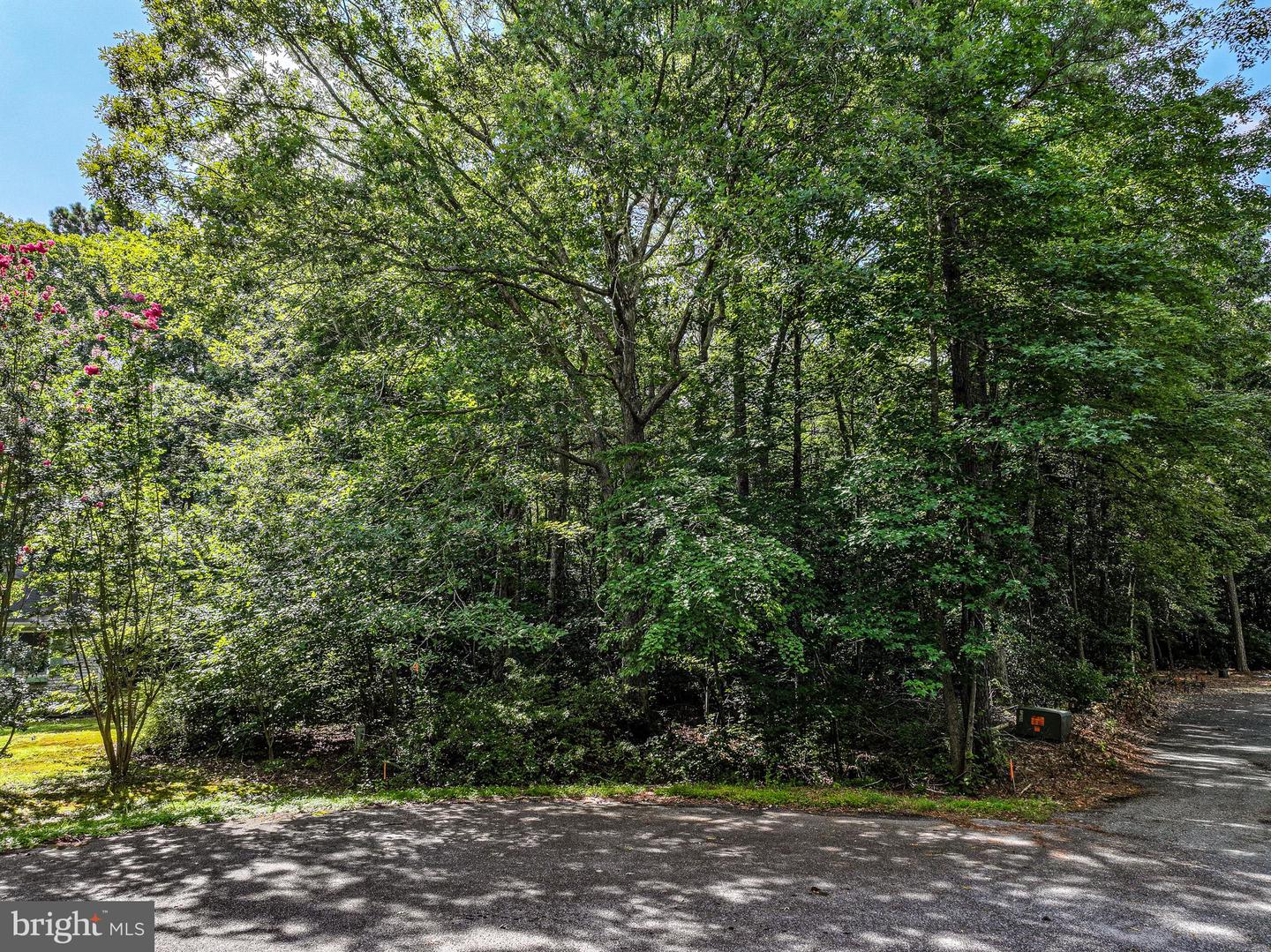 Martin Ct Property Photo 15