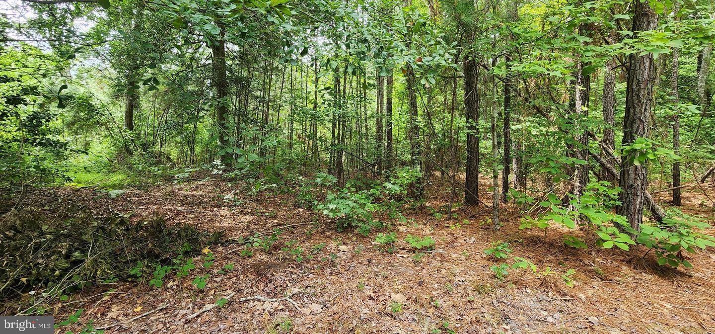 9 Cherrix Rd Property Photo 4