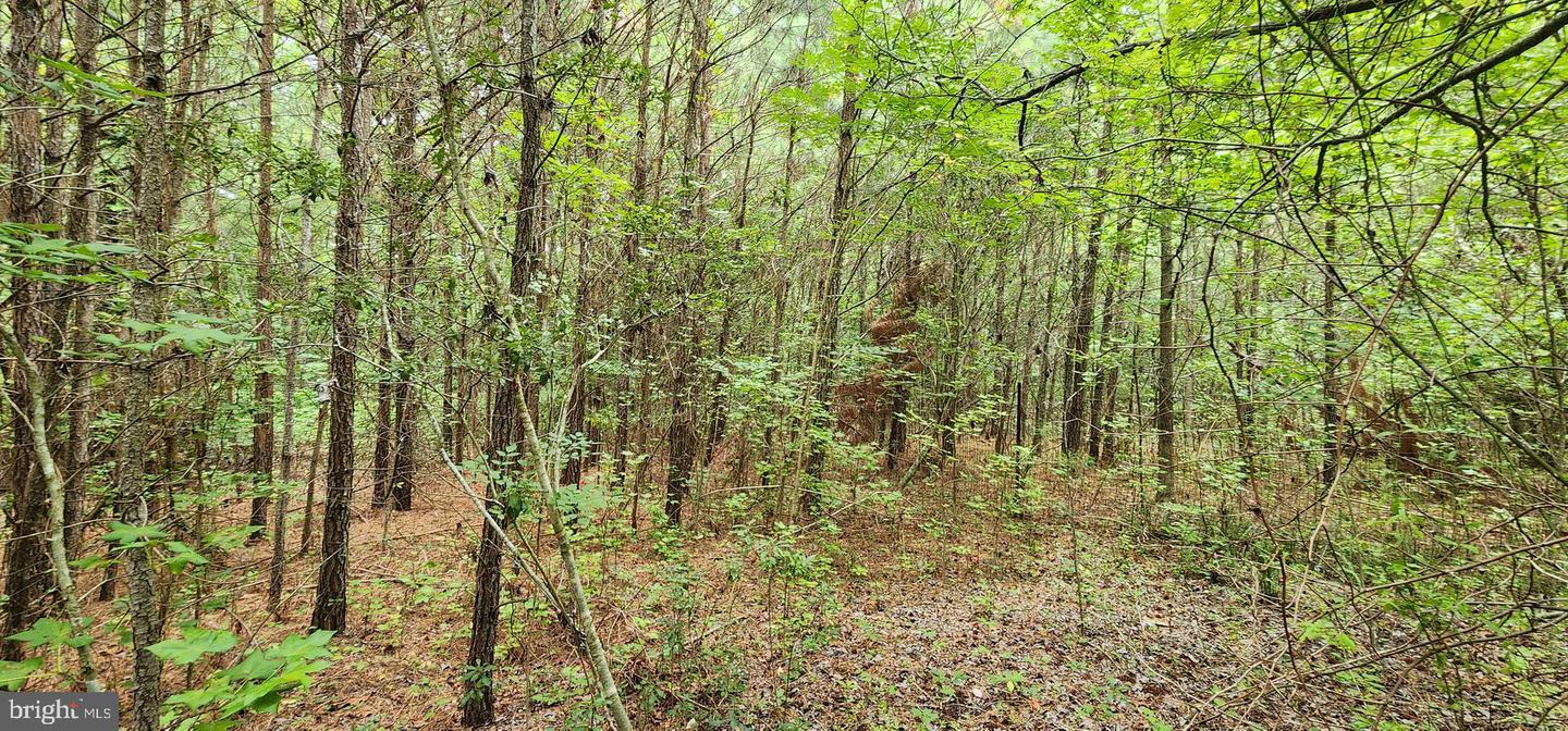 9 Cherrix Rd Property Photo 5