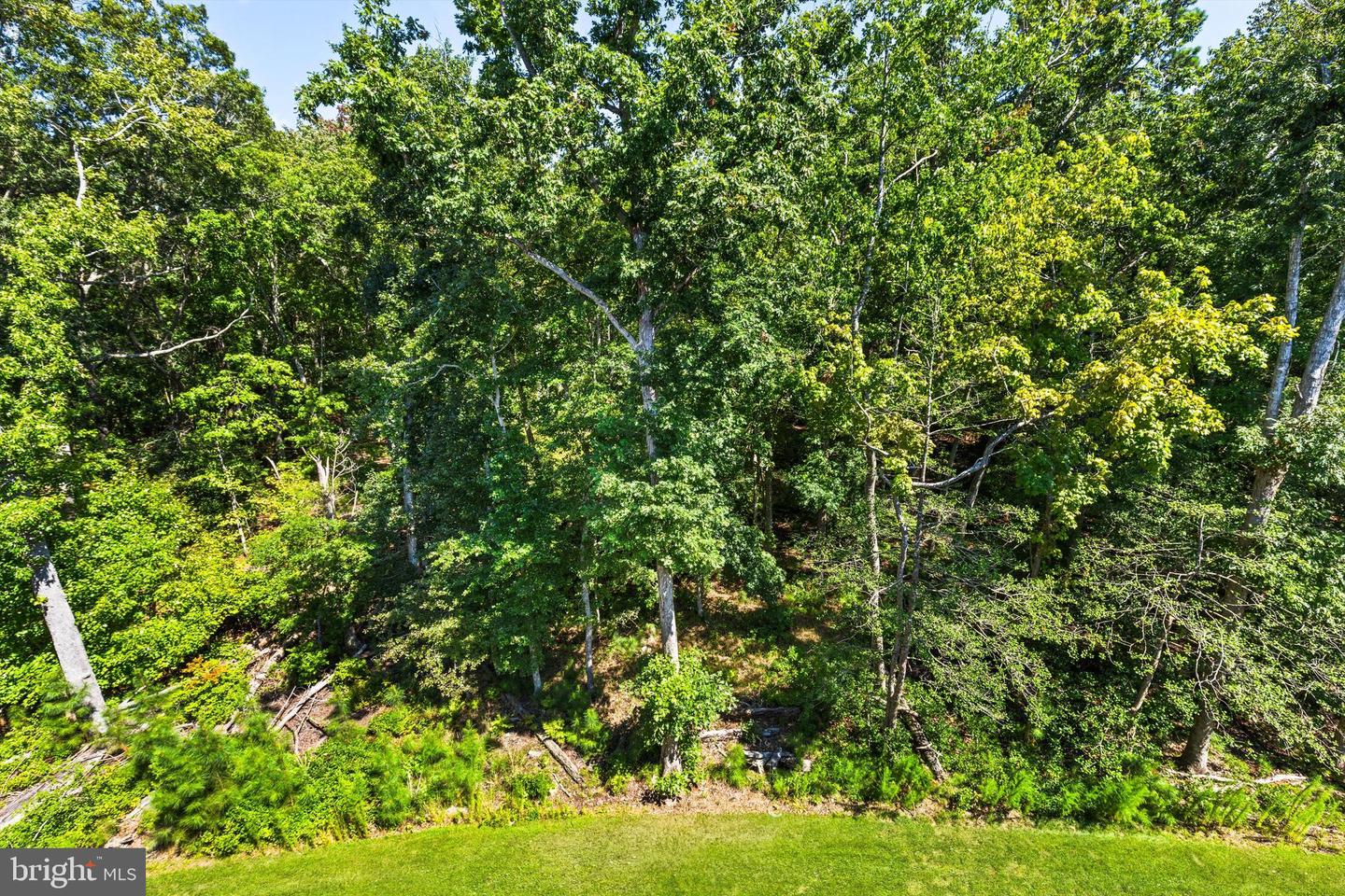 12394 Sea Oaks Ln Property Photo 34