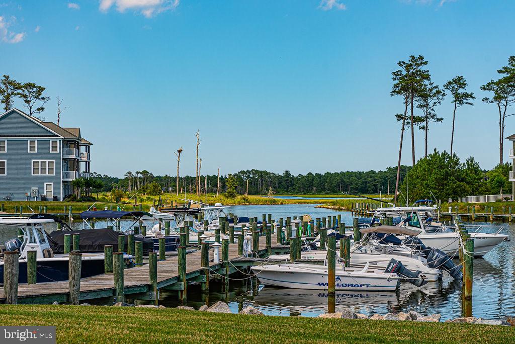10125 Fast Colors Ln Property Photo 72