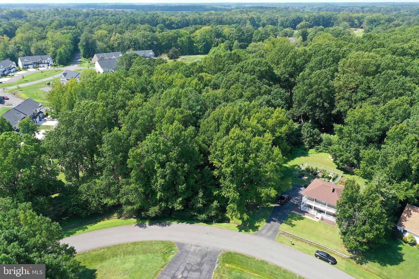 Lot #119 S Dolly Cir Property Photo 3