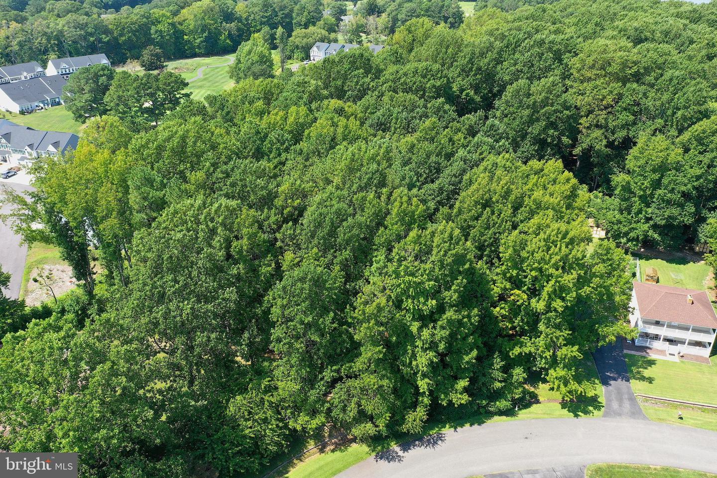 Lot #119 S Dolly Cir Property Photo 4