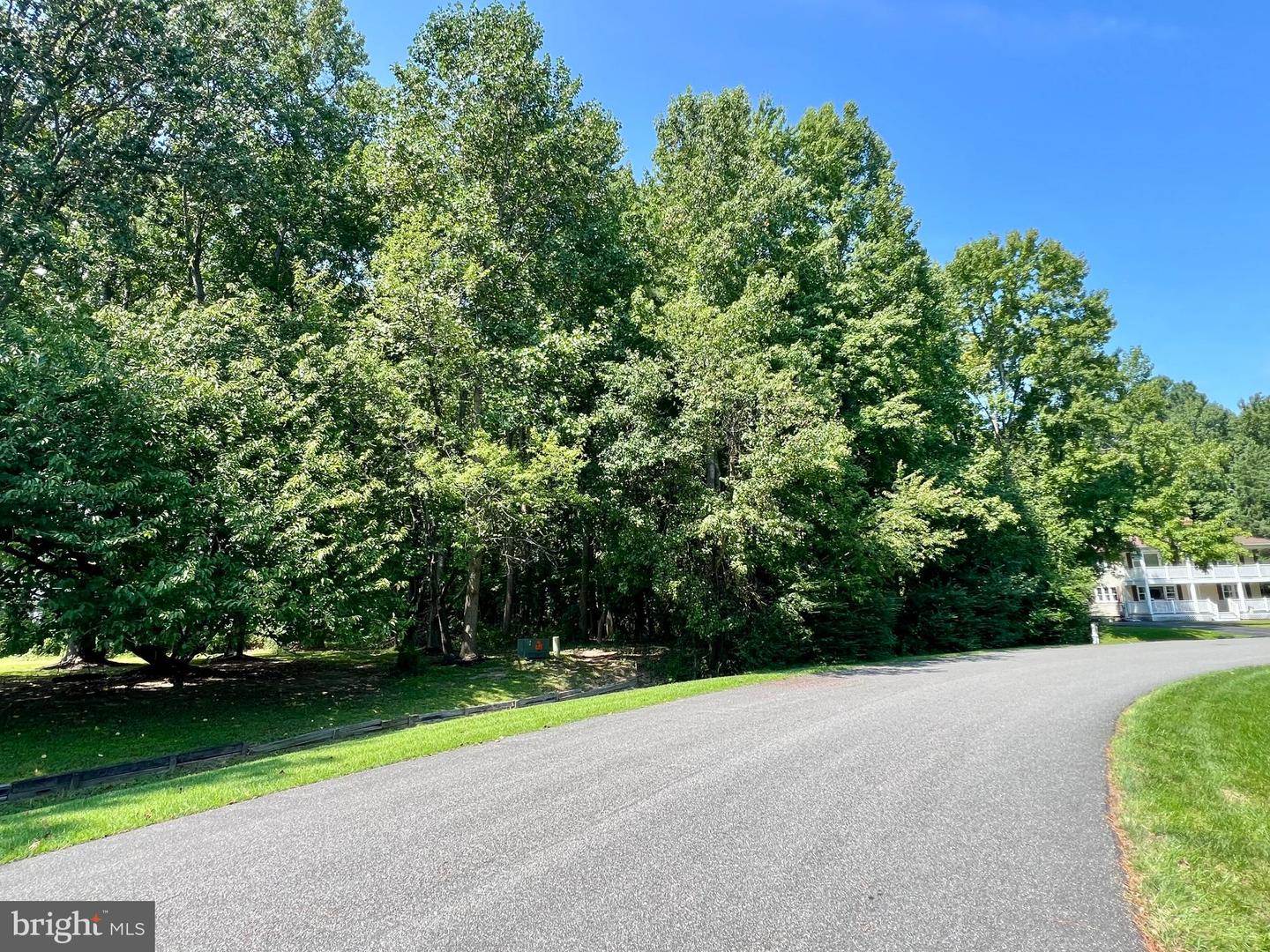 Lot #119 S Dolly Cir Property Photo 13