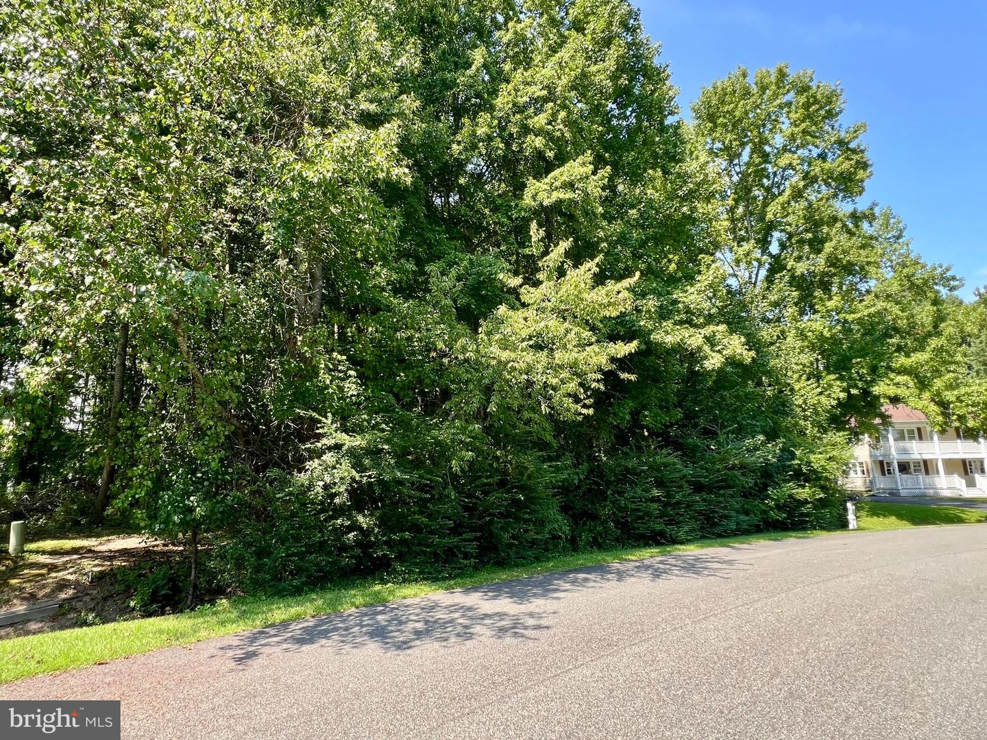Lot #119 S Dolly Cir Property Photo 14