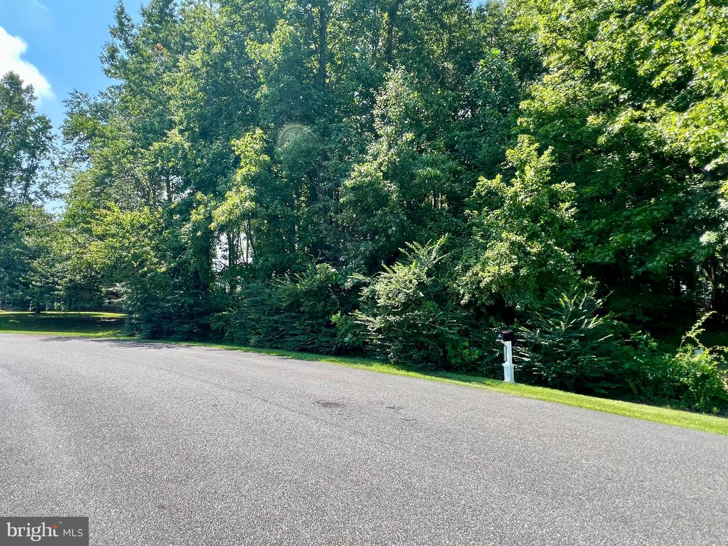Lot #119 S Dolly Cir Property Photo 15