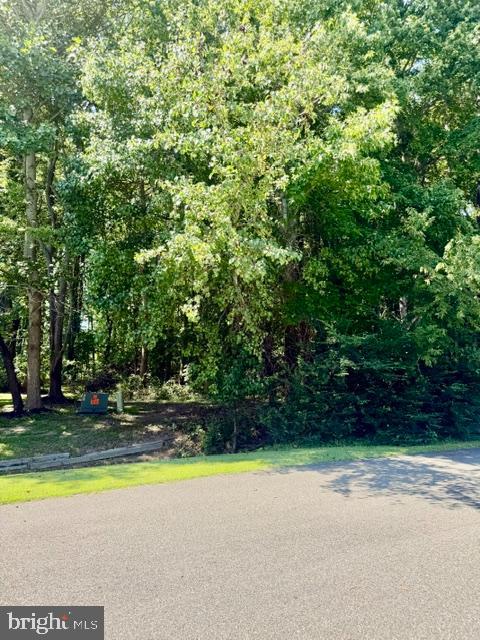 Lot #119 S Dolly Cir Property Photo 16