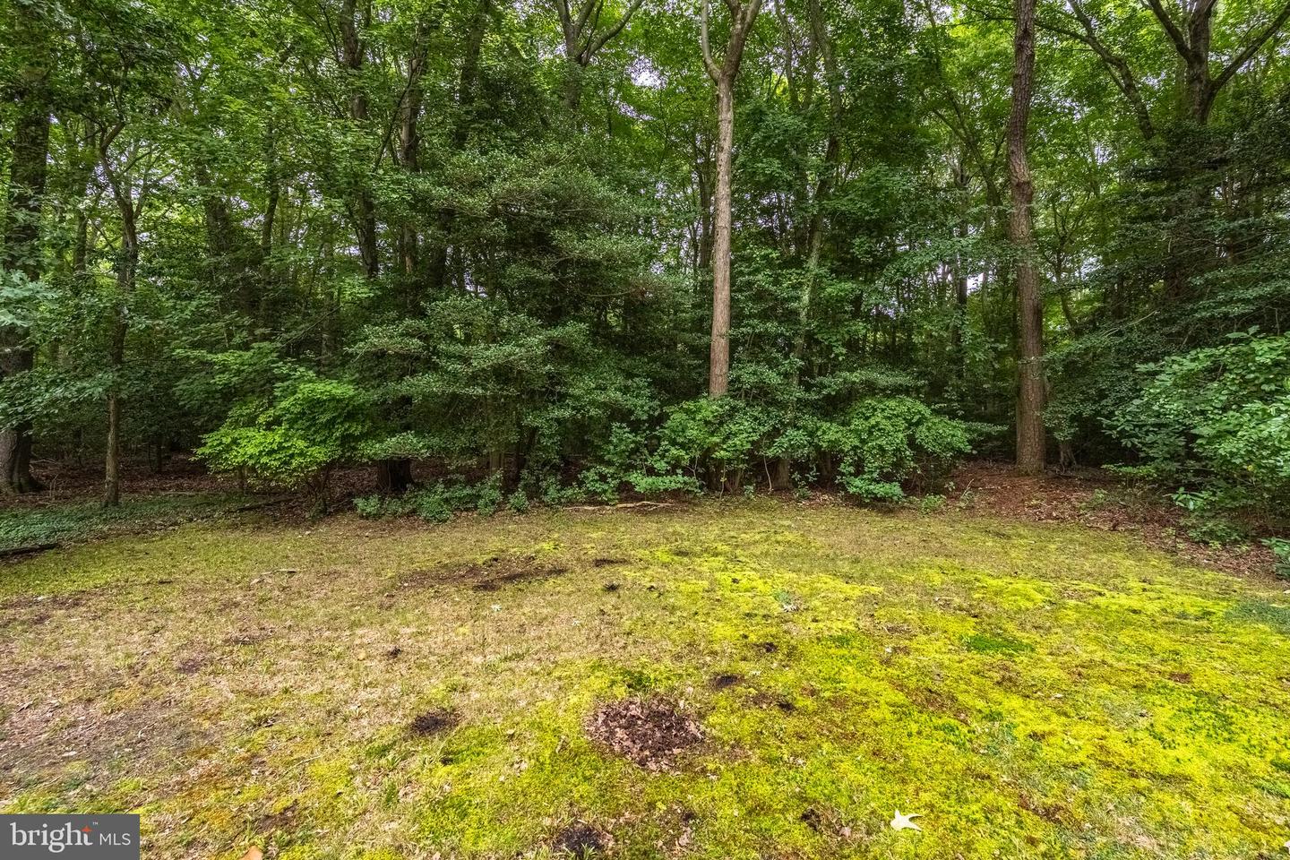 21 Castle Dr Property Photo 54