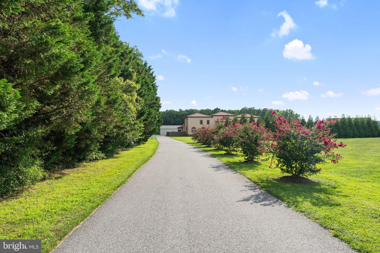 11914 Back Creek Rd Property Photo 121