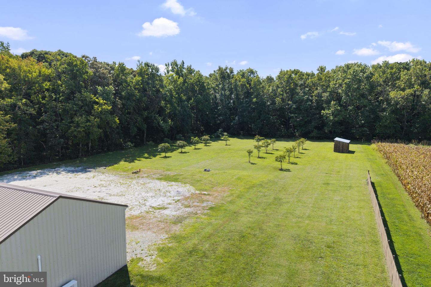 11914 Back Creek Rd Property Photo 122