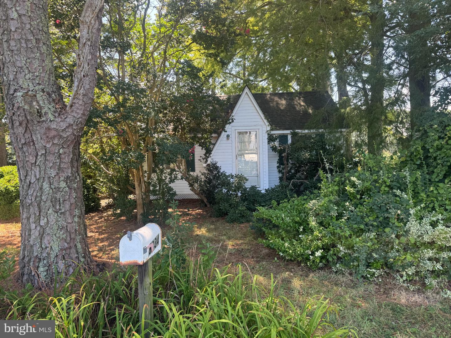 8334 3rd St Property Photo 1